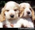/album/fotogaleria-inicio-/imagesca5j62x8-jpg/