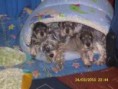 /album/fotogaleria-inicio-/imagesca11e1qo-jpg/