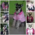 /album/fotogaleria-inicio-/imagescah53385%c3%b1kj-jpg/