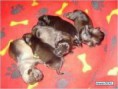 /album/fotogaleria-inicio-/imagescam1fmrk-jpg/